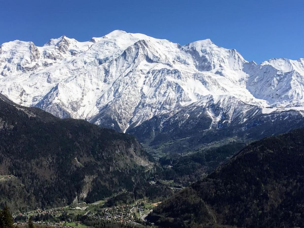 Fizhome Mt Blanc Passy  Bagian luar foto