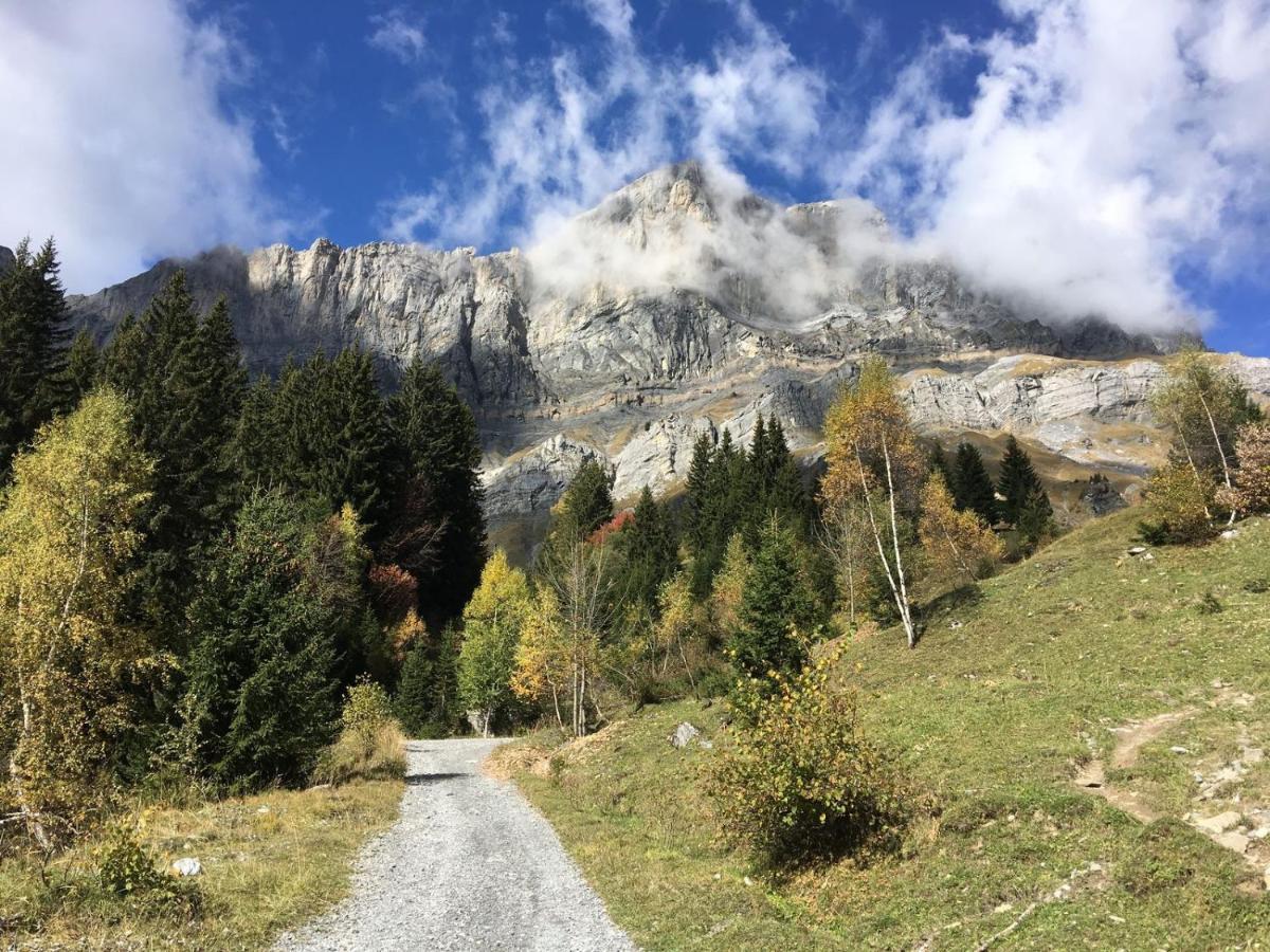 Fizhome Mt Blanc Passy  Bagian luar foto