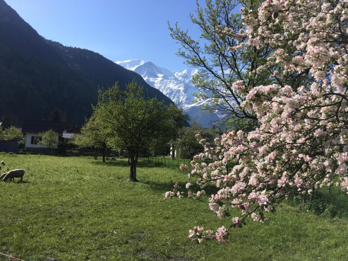 Fizhome Mt Blanc Passy  Bagian luar foto
