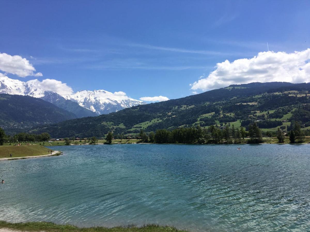 Fizhome Mt Blanc Passy  Bagian luar foto